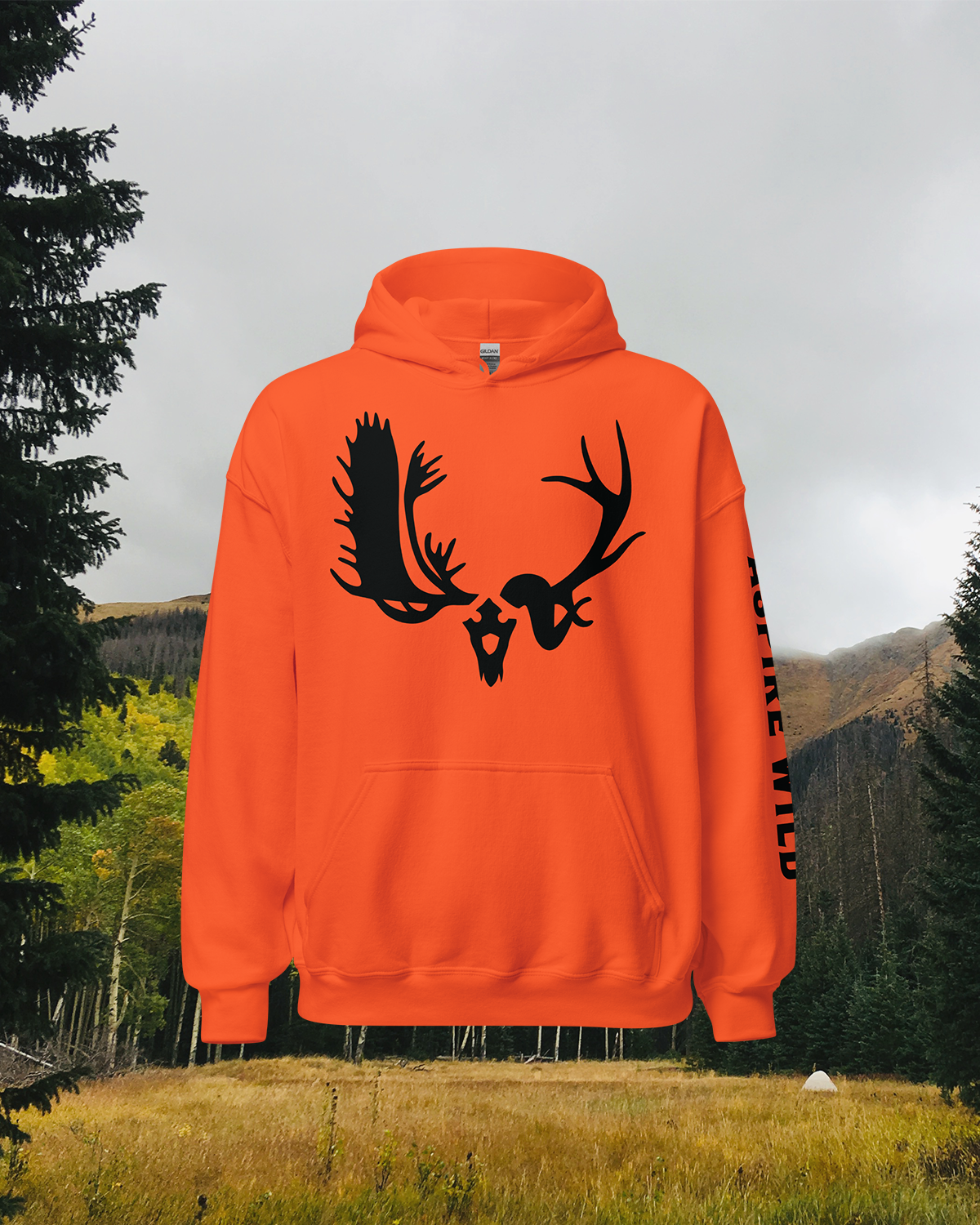 Aspire Wild logo hoodie