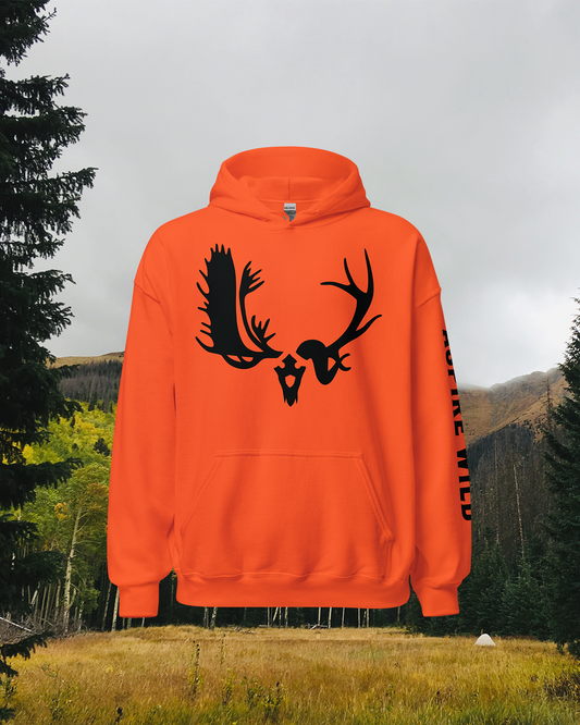 Aspire Wild logo hoodie