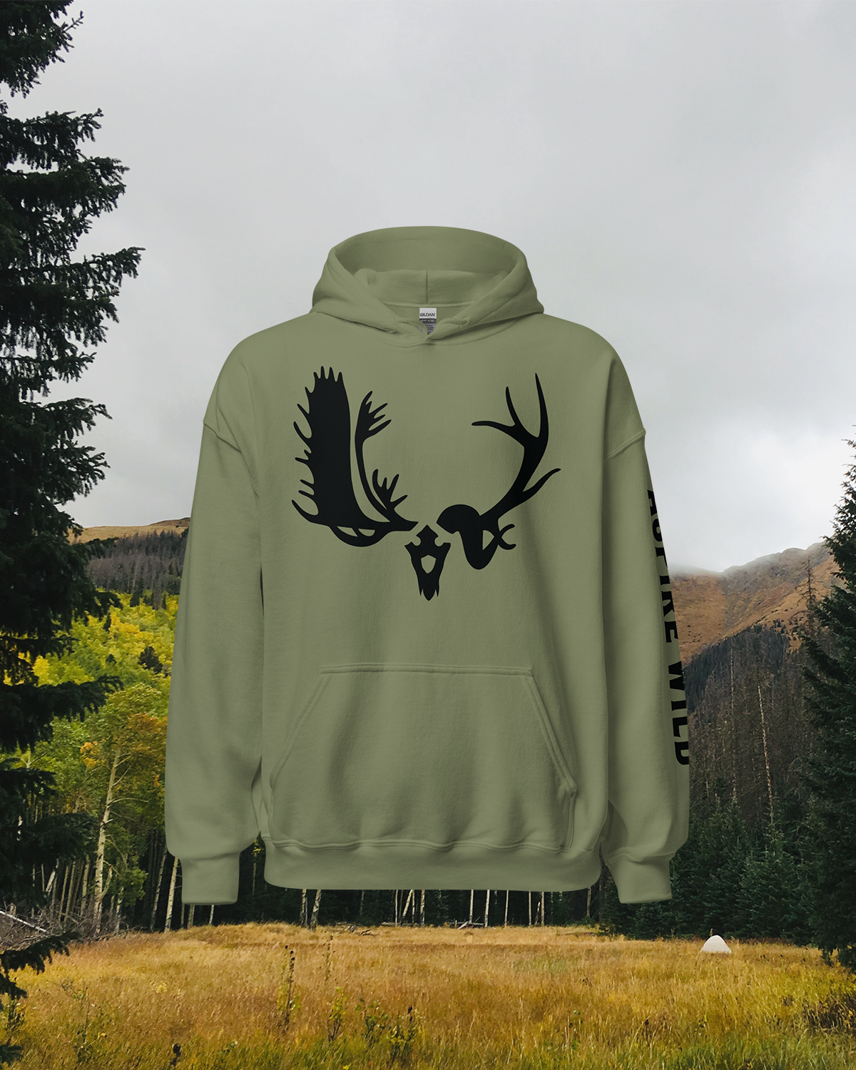 Aspire Wild logo hoodie