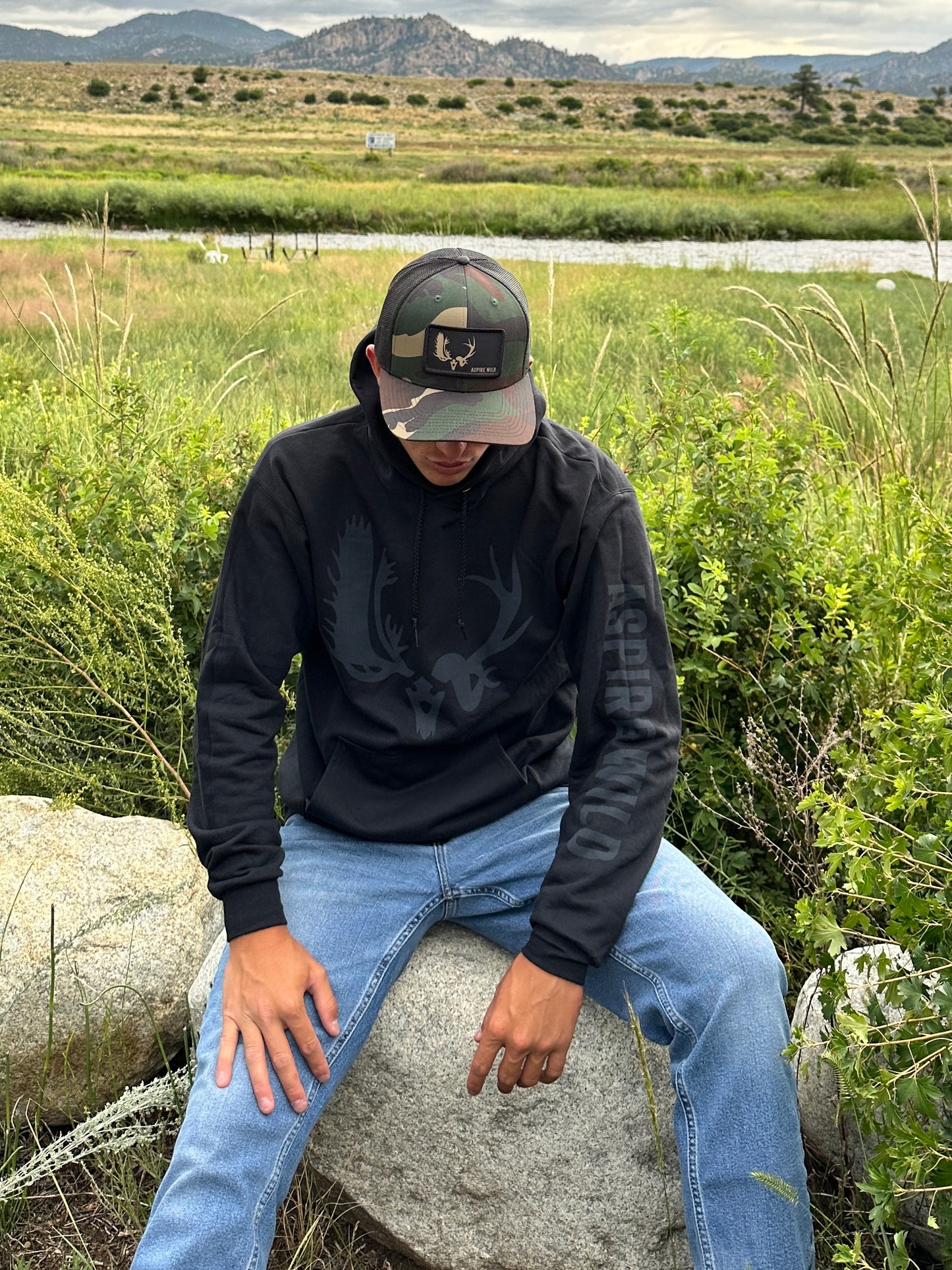 Aspire Wild logo hoodie