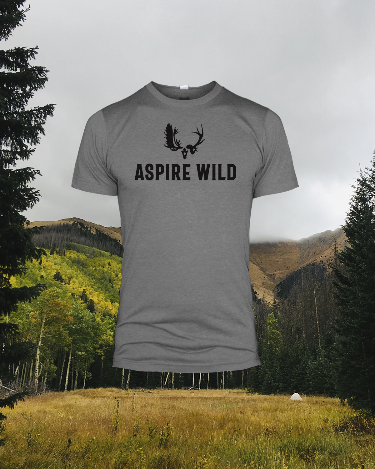 Aspire Wild logo t-shirt