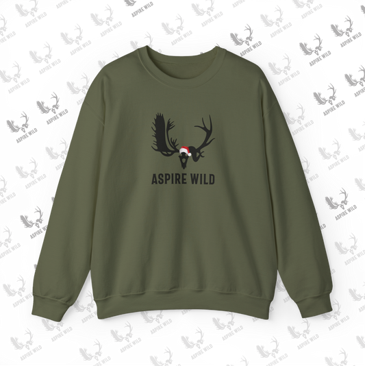 Aspire Wild Christmas sweatshirt